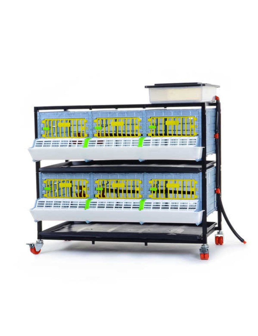 Jaula de Crecimiento 2 Niveles (H: 25 cm)