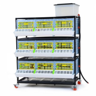 Jaula de Crecimiento 3 Niveles (H: 25 cm) - Cría Eficaz