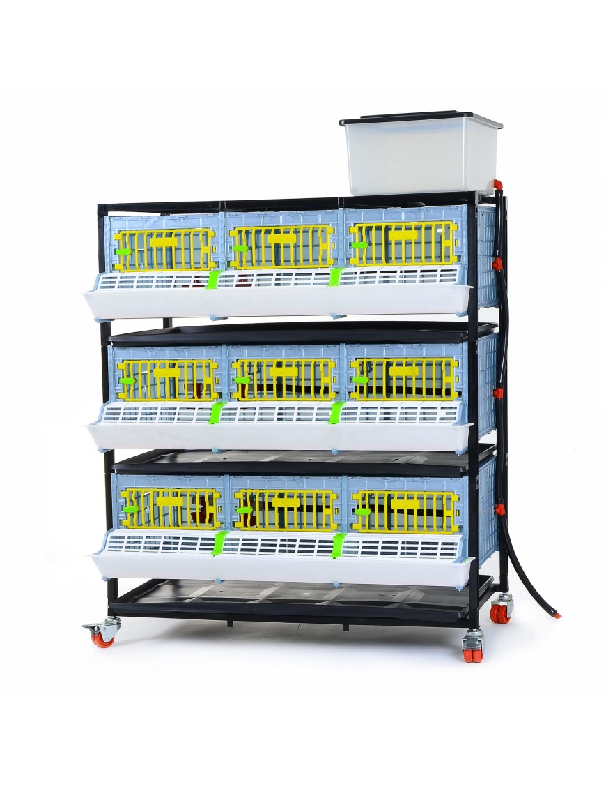 Jaula de Crecimiento 3 Niveles (H: 25 cm) - Cría Eficaz