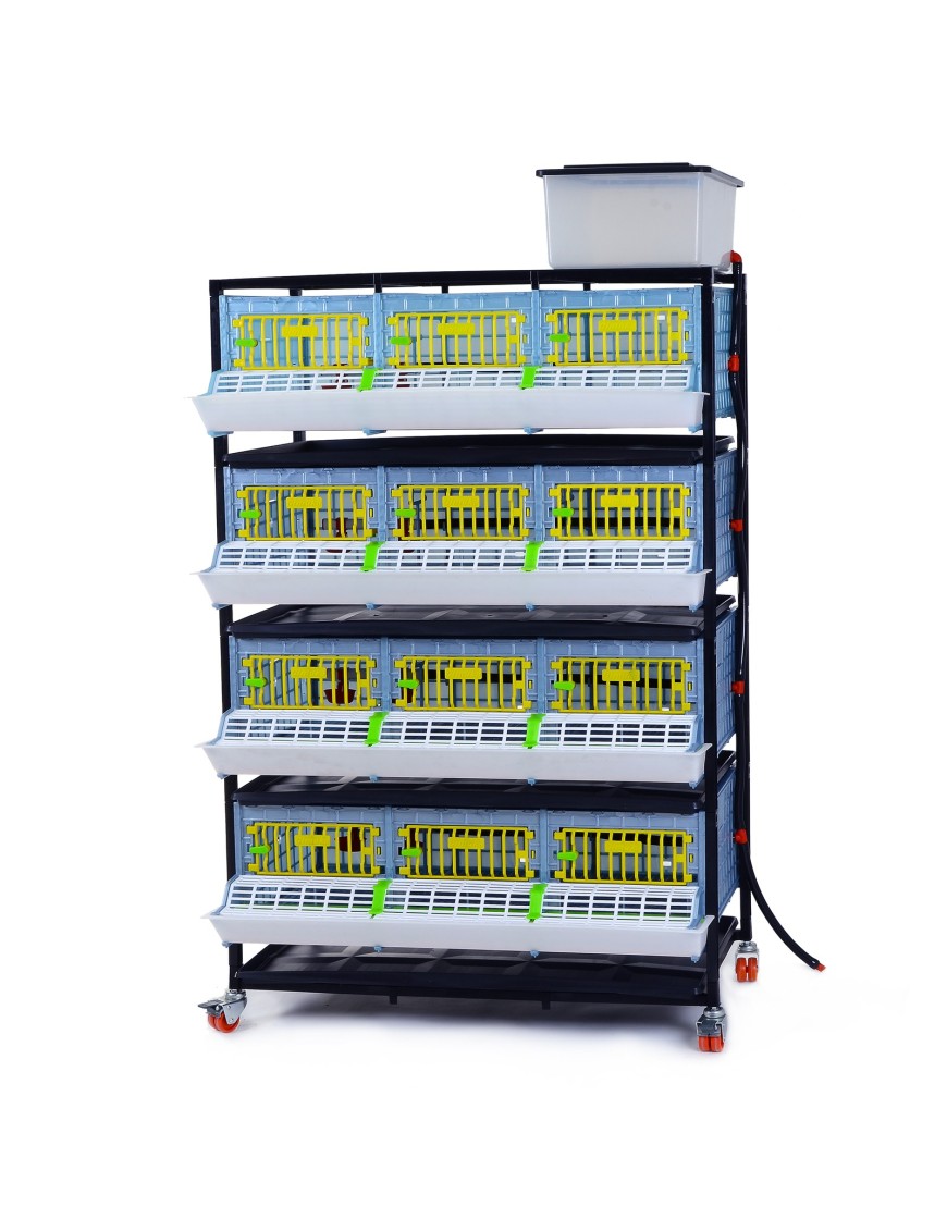 Jaula de Crecimiento 4 Niveles (H: 25 cm) - Cría Fácil