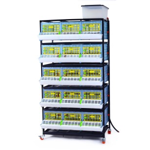 Jaula de Cría 5 Pisos (H:25 cm) - Crecimiento y Crianza