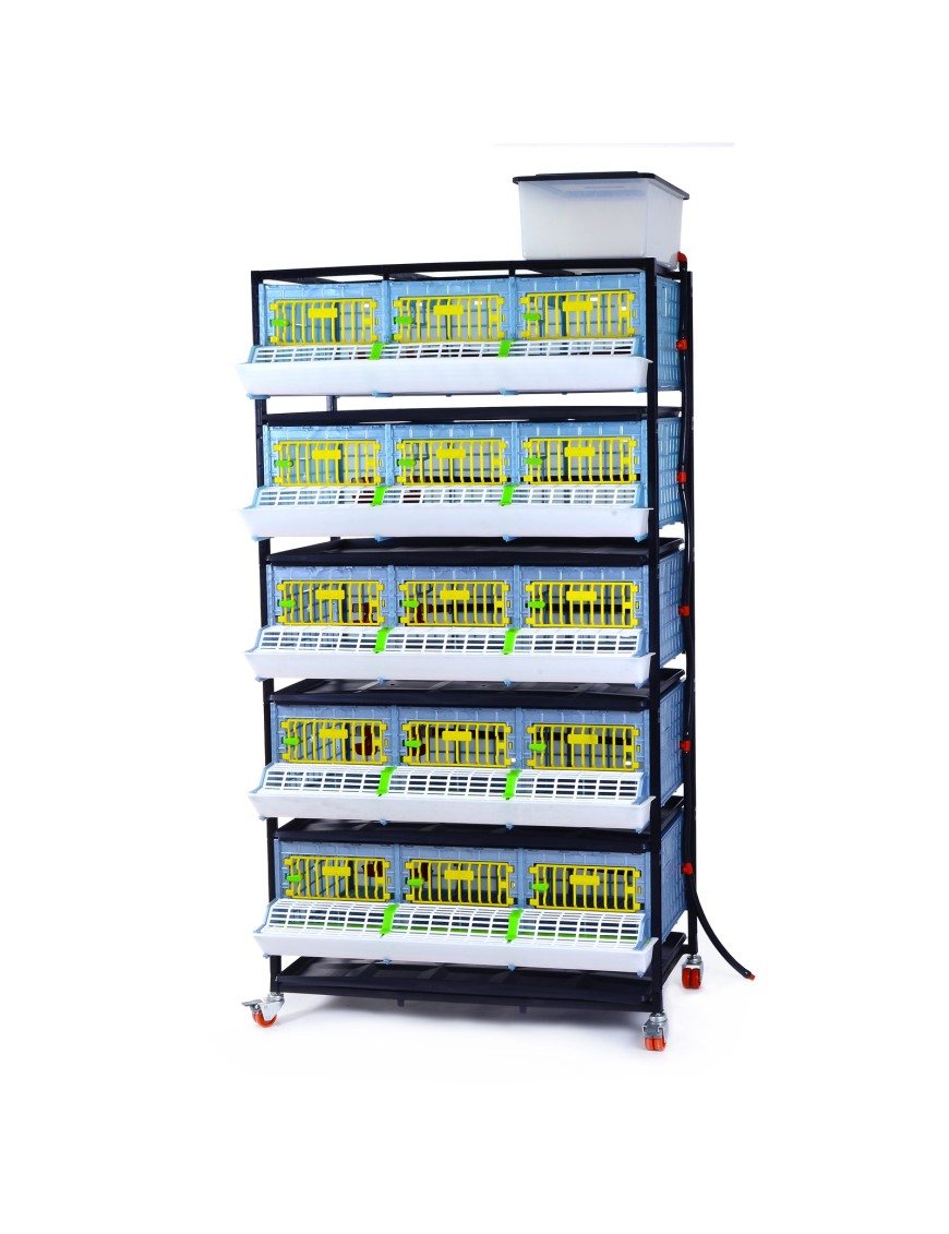 Jaula de Cría 5 Pisos (H:25 cm) - Crecimiento y Crianza