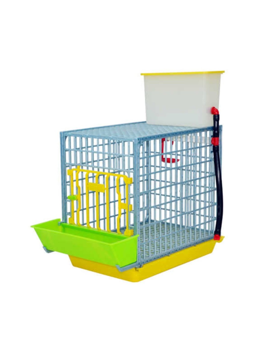 Jaula de Crecimiento 1 Sección (H: 40 cm) - Cría Eficaz