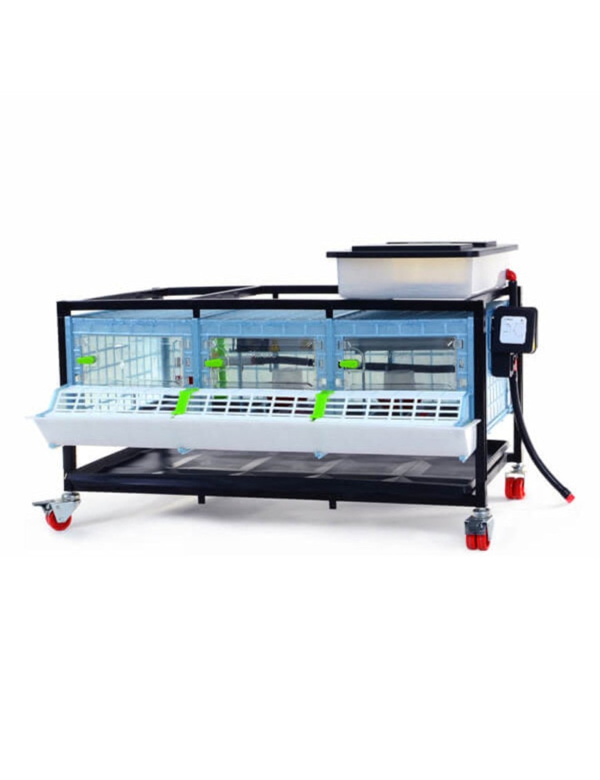 Criadora 1 Nivel (H: 25 cm) - Comprar Para Cría