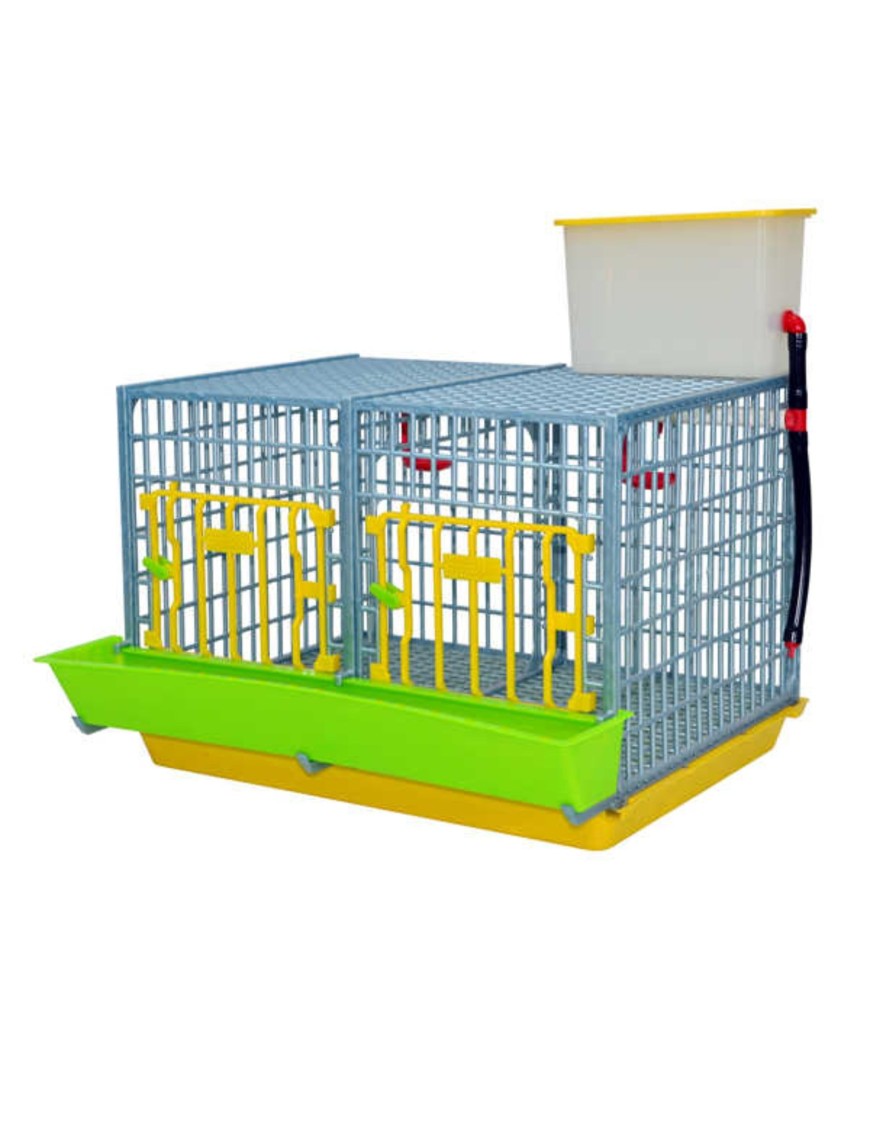 Jaula de Crecimiento 2 Secciones (H:40 cm) | Cría