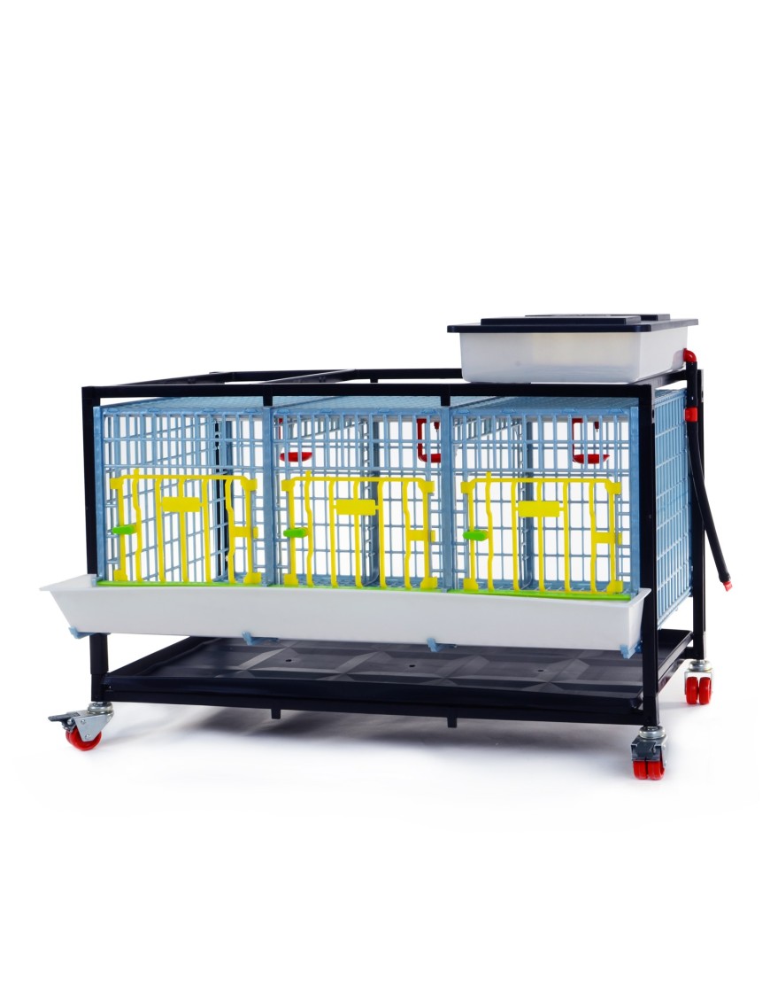 Jaula de Crecimiento 1 Nivel (H: 40 cm) - Cría