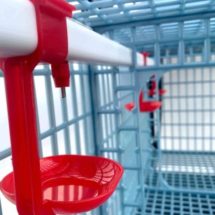 Jaula de Crecimiento 1 Nivel (H: 40 cm) - Cría