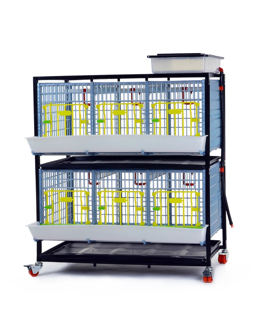 Jaula de Crecimiento 2 Niveles (h:40 cm) | Cría