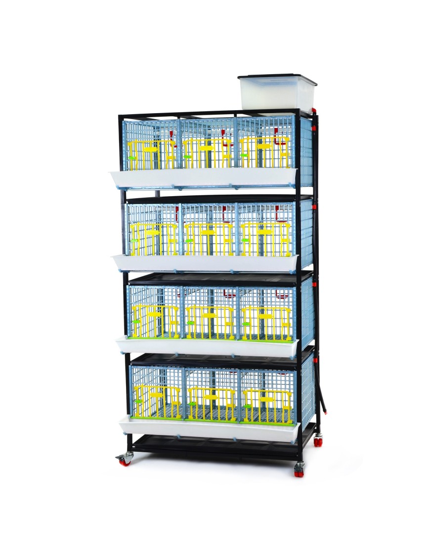 Jaula de Crecimiento 4 Niveles (H:40 cm) - Cría