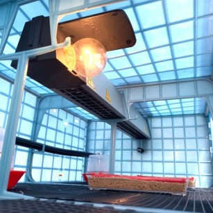 Criadora 1 Nivel (H: 25 cm) - Comprar Para Cría