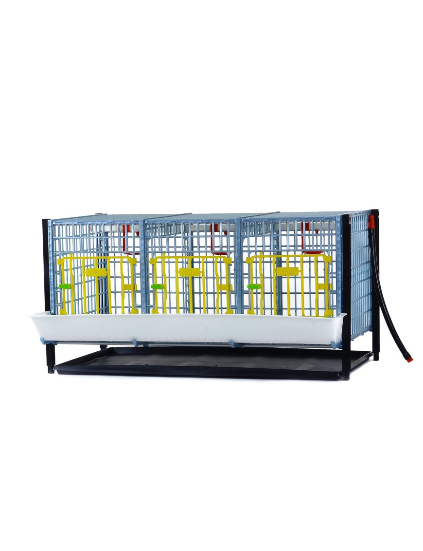 Piso Adicional Jaula De Crecimiento (40 cm)