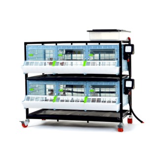 Criadora 2 Pisos (H: 25 cm) - Cría Avícola