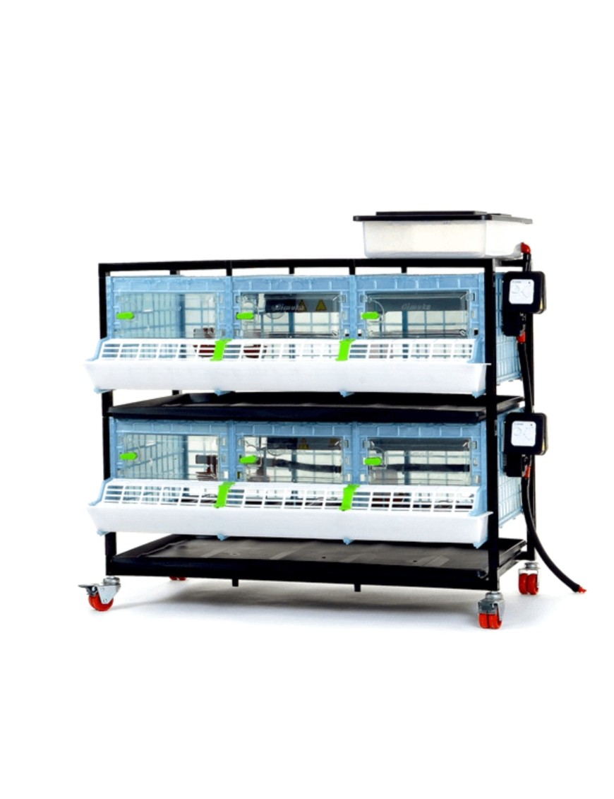 Criadora 2 Pisos (H: 25 cm) - Cría Avícola