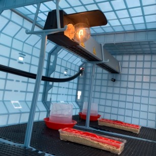 Bebedero Pollito 350 ml | Crianza Experta