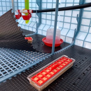 Bebedero Pollito 350 ml | Crianza Experta