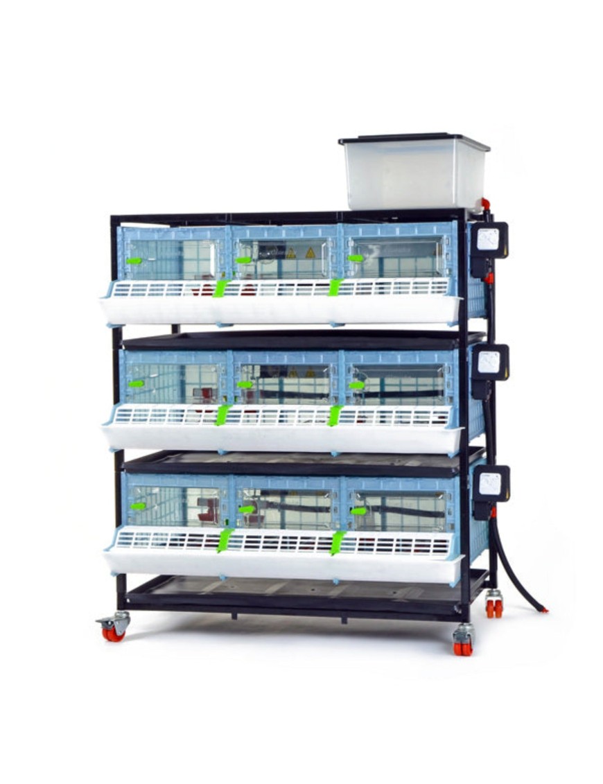 Criadora 3 Niveles (H: 25 cm) - Cría Experta