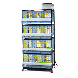 TYK40 Jaulas de Cría para Gallinas