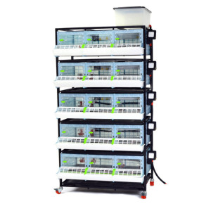 Jaulas Para Pollitos