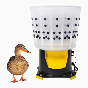 Desplumadoras de Patos