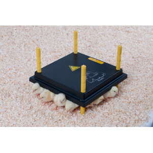 Placas Calefactoras Para Pollitos