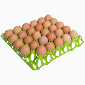 Manejo y Transporte de Huevos