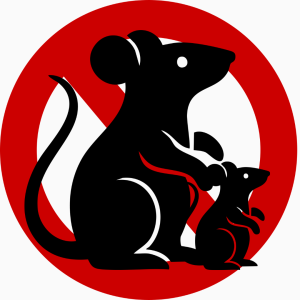 Anti rats et souris