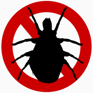 Control del Ácaro Rojo