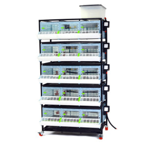 Jaulas Para Pollitos 25cm Altura