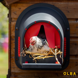 Accesorios Para Cajas Nido