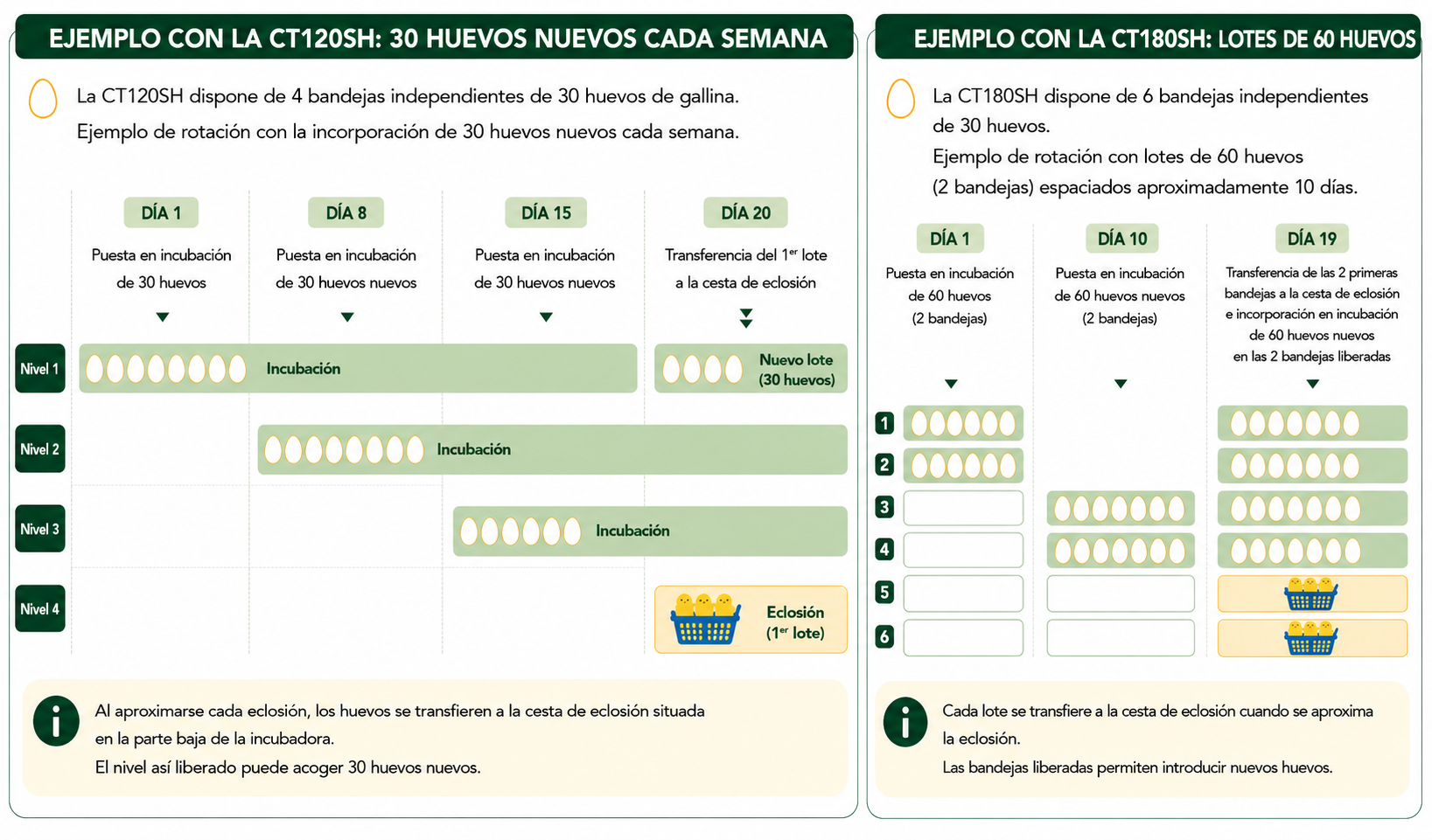 incubation-chargement-echelonne-ct120sh-ct180sh-es.png