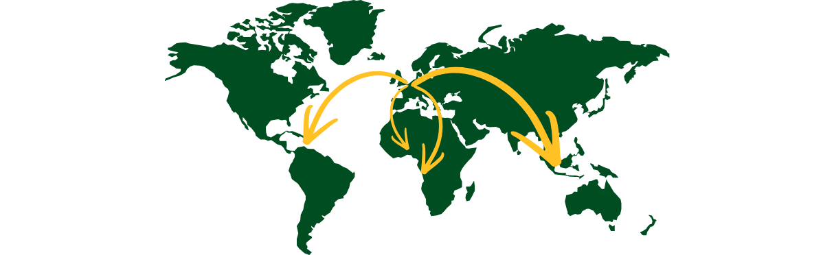 Envíos internacionales y fuera de Francia metropolitana