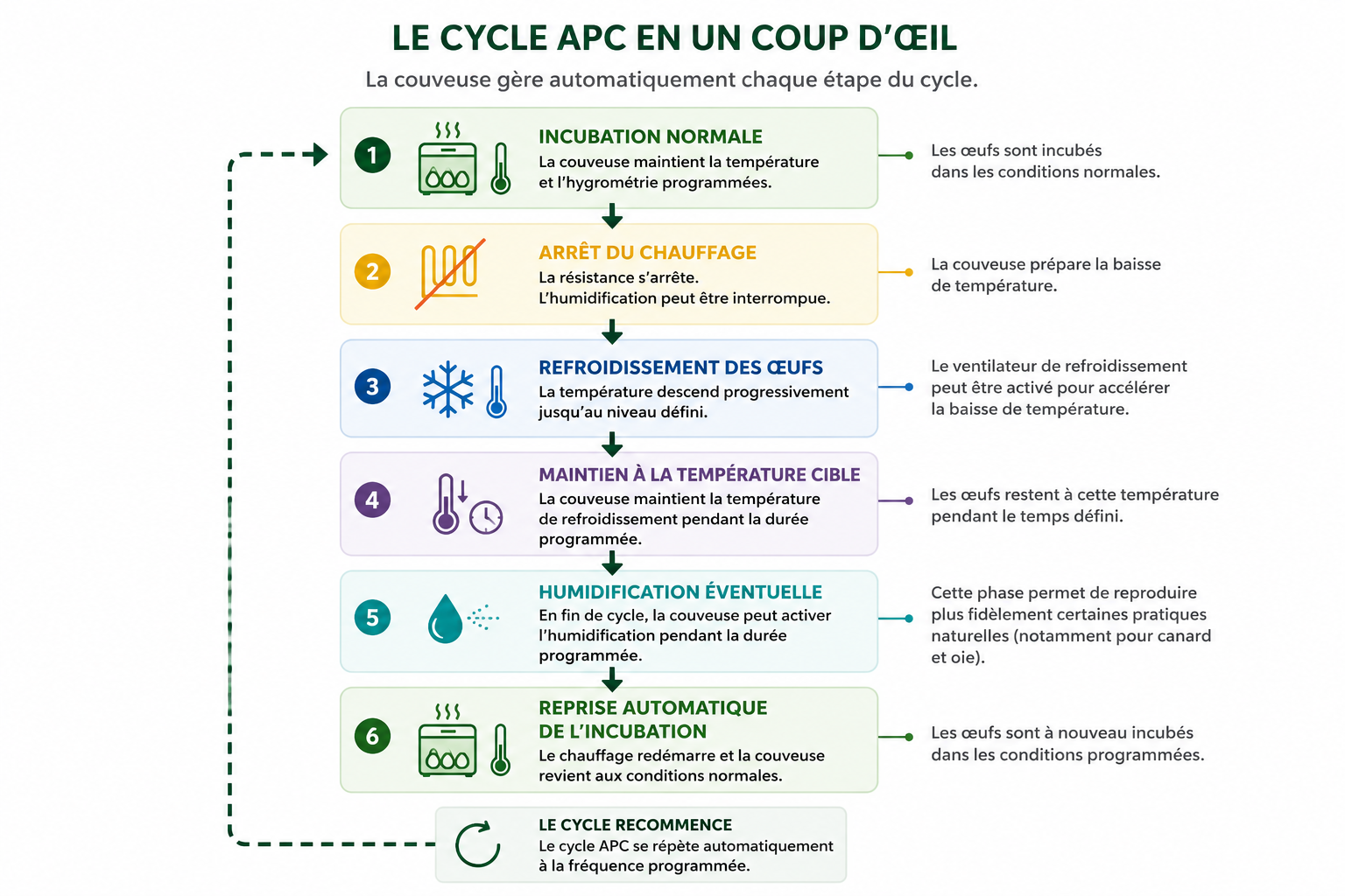 Cycle APC de refroidissement périodique des œufs dans une couveuse Cimuka
