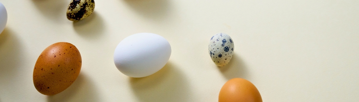 Guía de expertos sobre los diferentes tipos de huevos