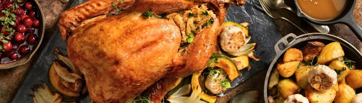 Dinde de noel engraissement et finition