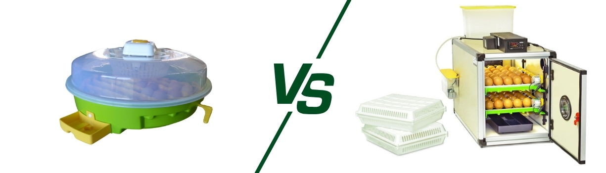 Comparatif technique couveuse manuelle semi-automatique et automatique