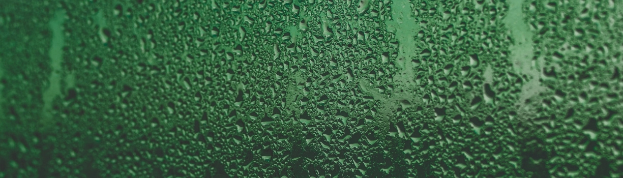 Réglage humidité couveuse et hygrométrie