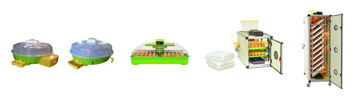 Comparatif meilleures couveuses 2026 pour débutant et pro